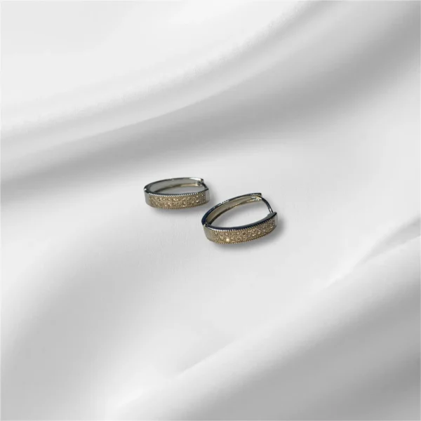 Stainless Steel and Zirconia Hoop Earrings - Elegant Style